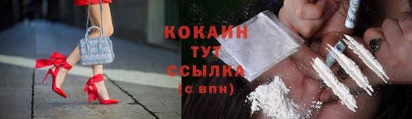 дмт Абаза
