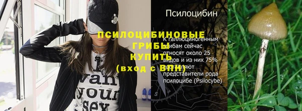 кокс Абдулино